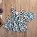 GRNSHTS Baby Girls Flower Print Ruffles Dress Set with Briefs (80 cm/6-12 Months, Floral Dress & Briefs)