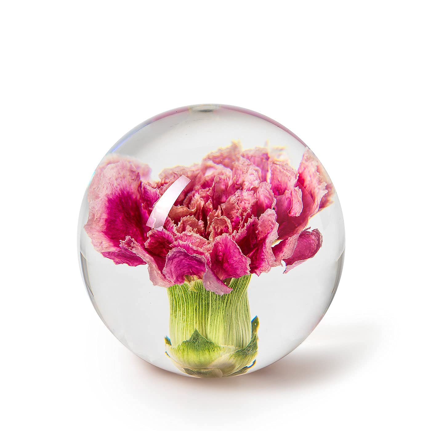 In Flore, Fermacarte a forma di garofano, 7 cm, rosa