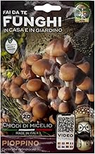 20 Mycelium Nails Poplar Mushrooms, Cyclocybe Cylindracea Variety, Ecological and Sustainable Cultivation, DIY Mushrooms - Made in Italy