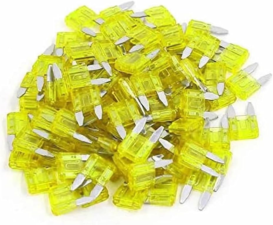 Bussman TL30PK4 30 Amp TL Edison Plug Time Delay Fuse 4 Count Tools & Home