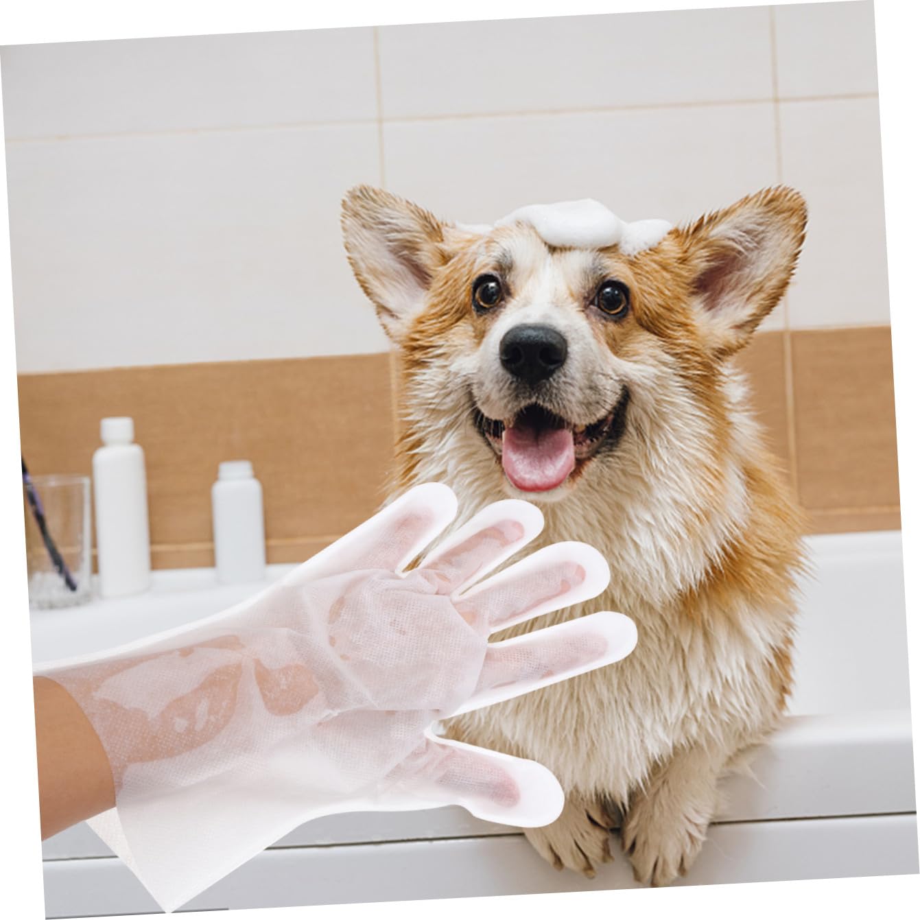 FOMIYES 18 Piezas Guantes toallitas Desechables para Mascotas Guante Cepillo para Gatos toallita para Cachorros toallitas de baño para Gatos el Gato toallitas húmedas limpiando Suministros