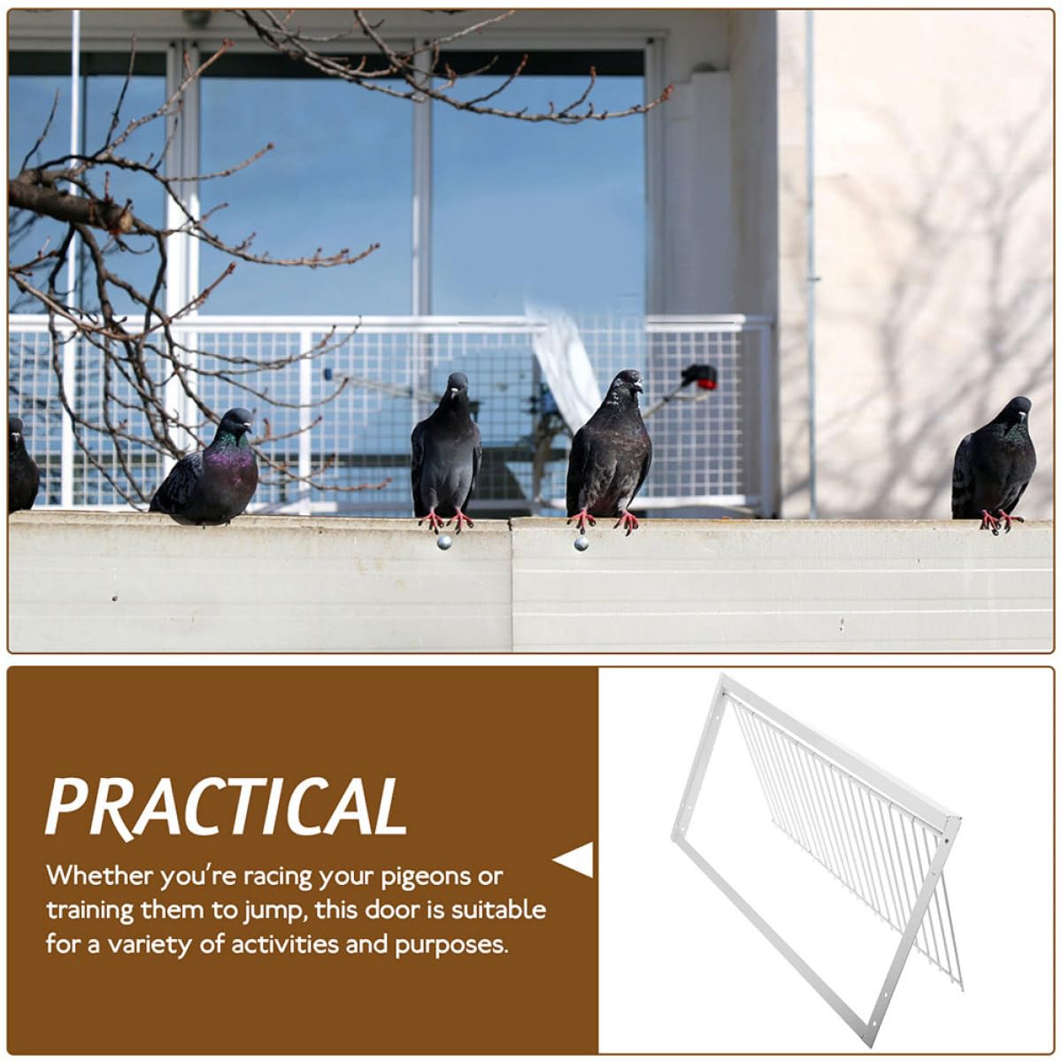 Ciieeo Puerta para Jaula de Palomas de Hierro Reforzado 50 Cm, 2 Piezas para Carreras y Saltos de Palomas, Puerta Actividad Resistente para Casa de Pájaros en Granja y Rancho