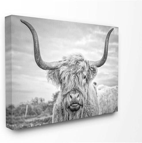 Miniatura 1 de Stupell Industries Lienzo decorativo para pared, diseño de vaca de las tierras altas en blanco y negro por Joe Reynolds, 16 x 20 pulgadas
