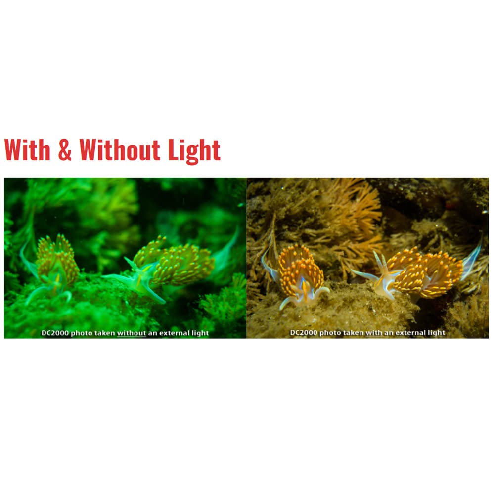 SeaLife Sea Dragon Duo 3000F Flash Set (SL690)