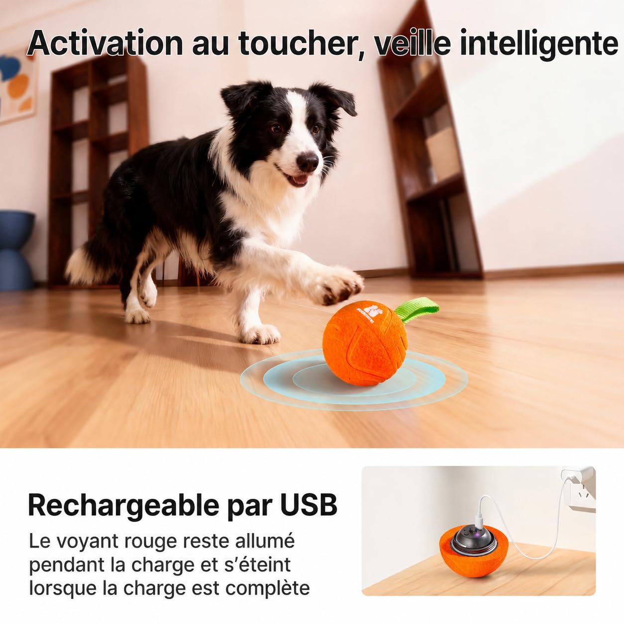 Potaroma Balle pour chien avec corde, jouet interactif activé par le mouvement, 3 modes, balle rebondissante automatique, jouets durables E-TPU pour chiens de moyenne/grande taille, rechargeable par