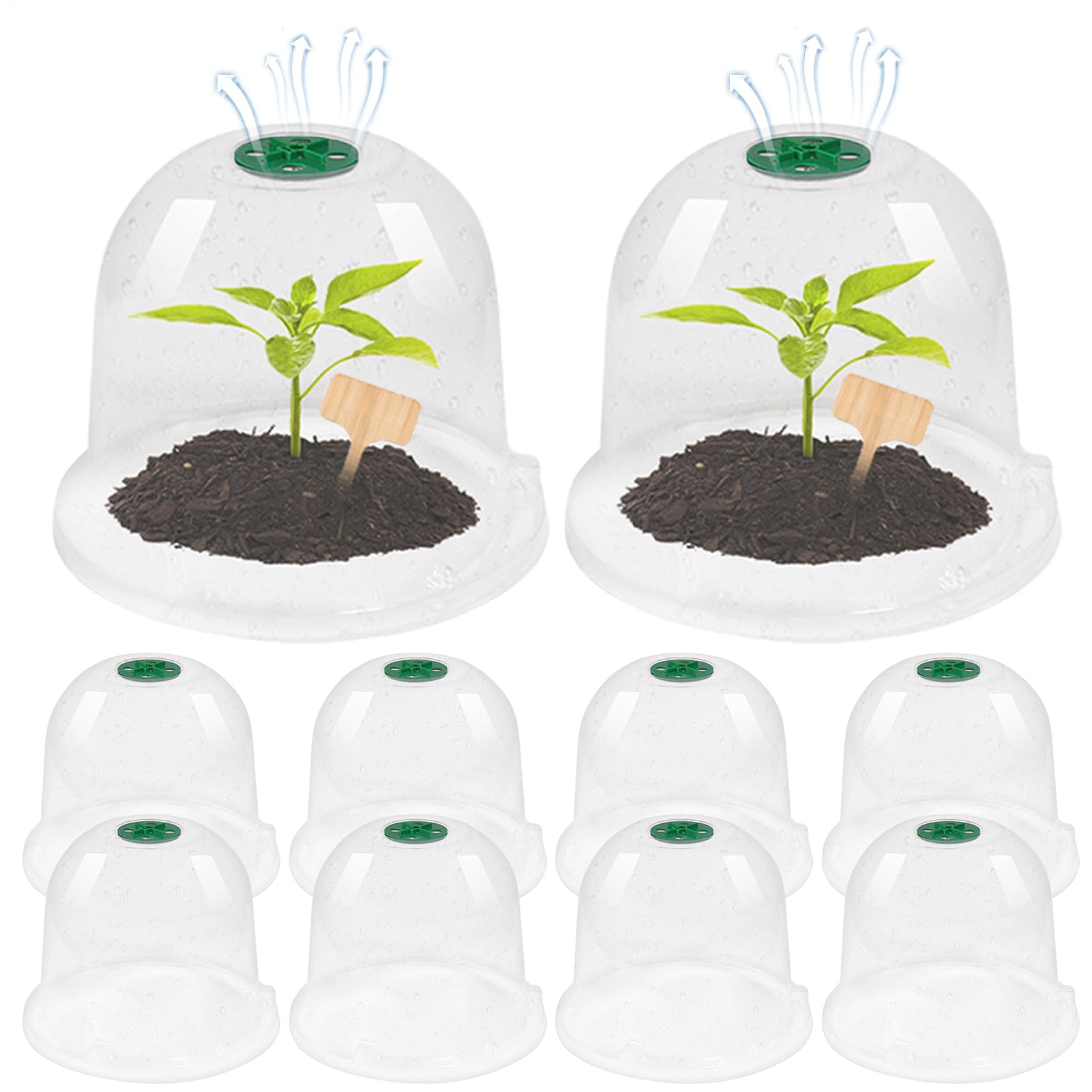 10 Stück Gartenpflanzen-Cloche, Wiederverwendbare Gewächshausglocken, Schneckenschutz, Transparente Feuchtigkeitskuppel Für Salatpflanzen Zum Schutz Vor Frost Schnecken Vögeln