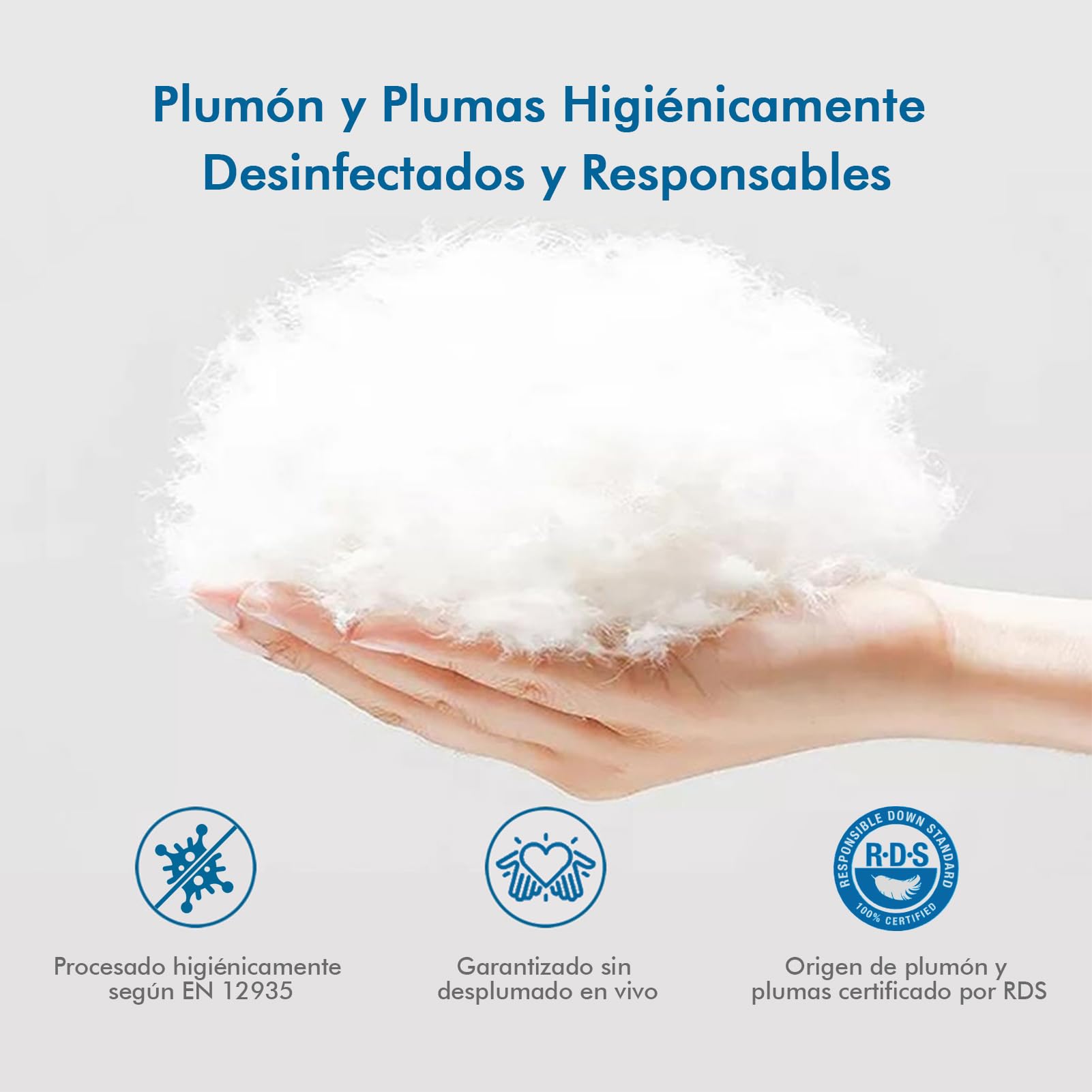 Dafinner Edredón con Temperatura Normal Cama 180, Manta de Lujo con 90% Plumón 330gr/m²，Nordica Cubierta de Algodón Oeko-Tex RDS 240 × 260cm