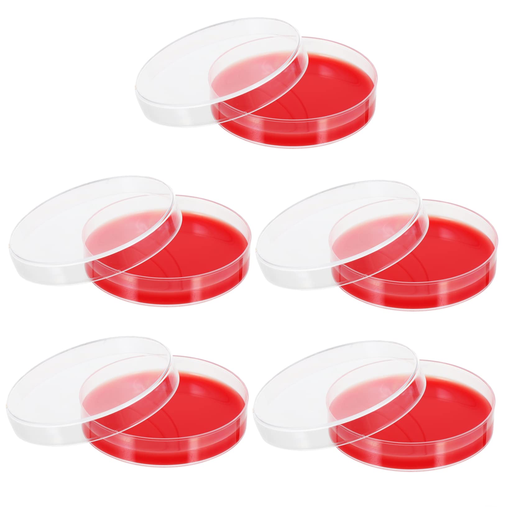 Gatuida 2 Placas de Agar Placa de Petri Medio de Cultivo de Agar Resistente Y Ligero Fácil de Usar 10 Unidades
