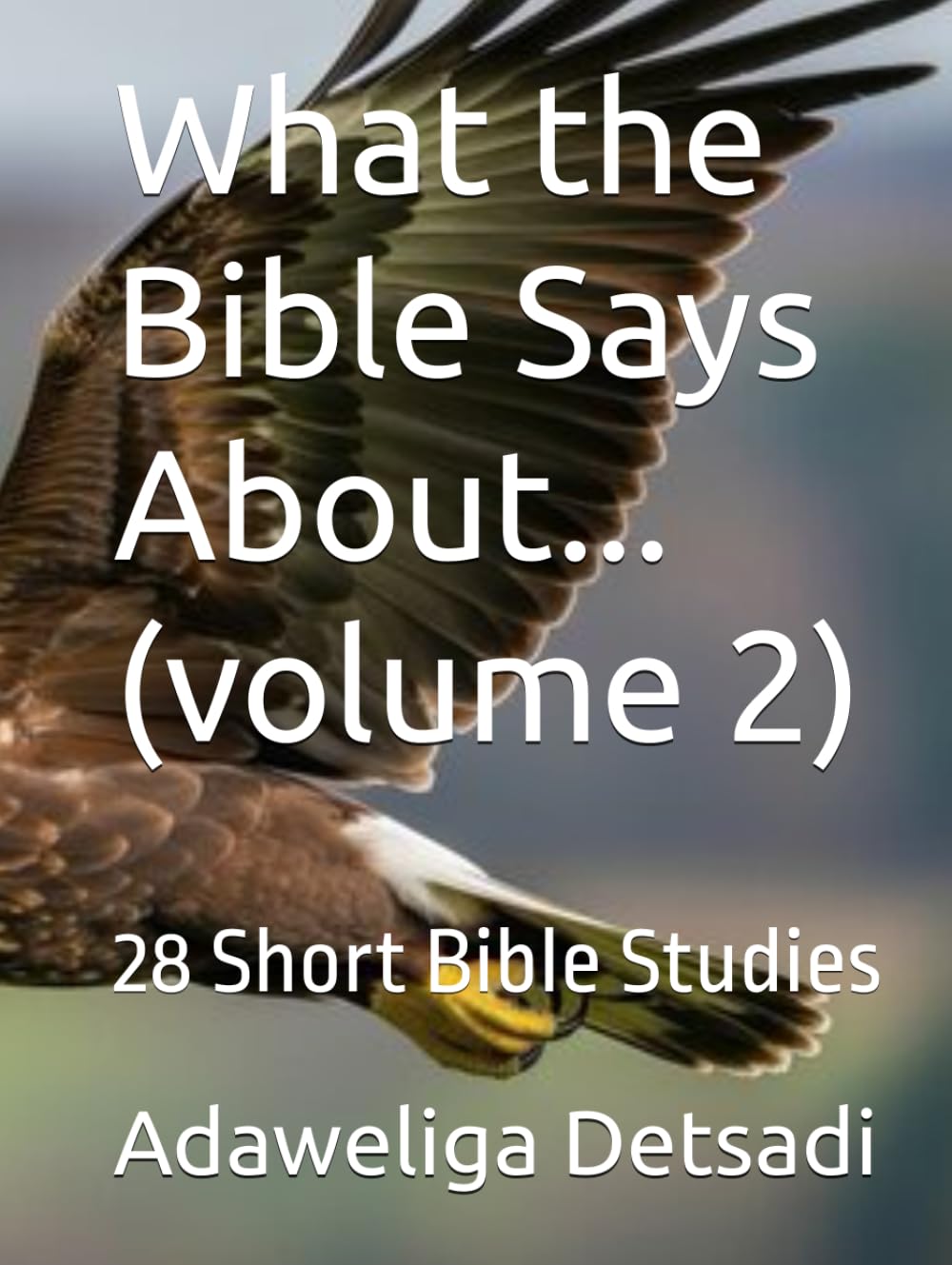 What the Bible Says About... (volume 2): 28 Short Bible Studies