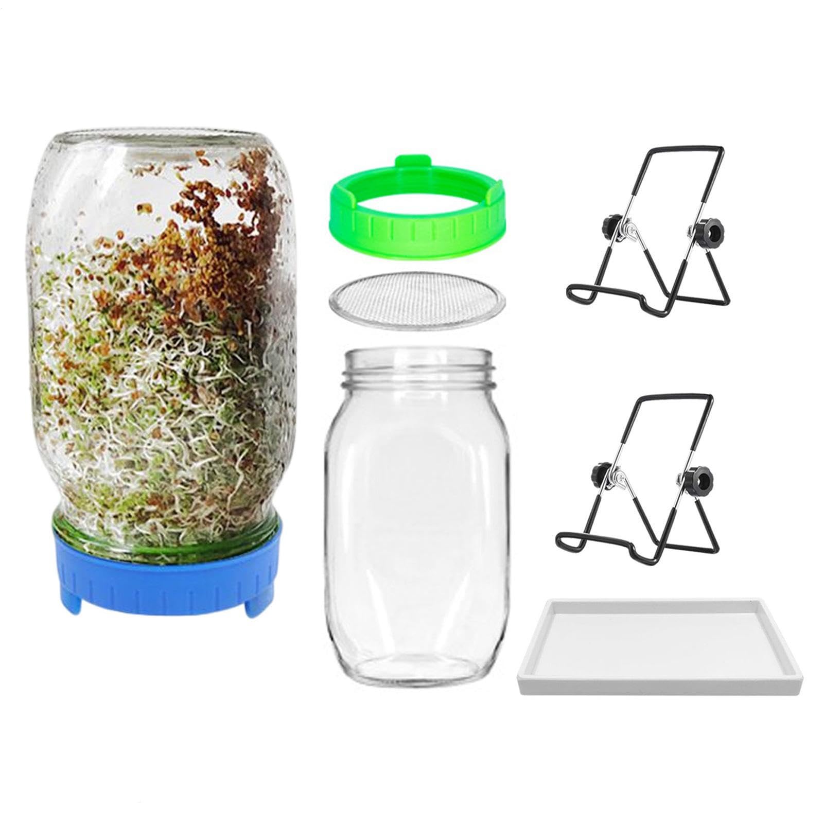 Generisch Lot de 2 Verres à pour Germination en Verre à avec 1 Bol d'eau | 2 couvercles de Grille filtrante en Acier Inoxydable 304 et 2 Supports, 1000 ML, Calibre 86 mm