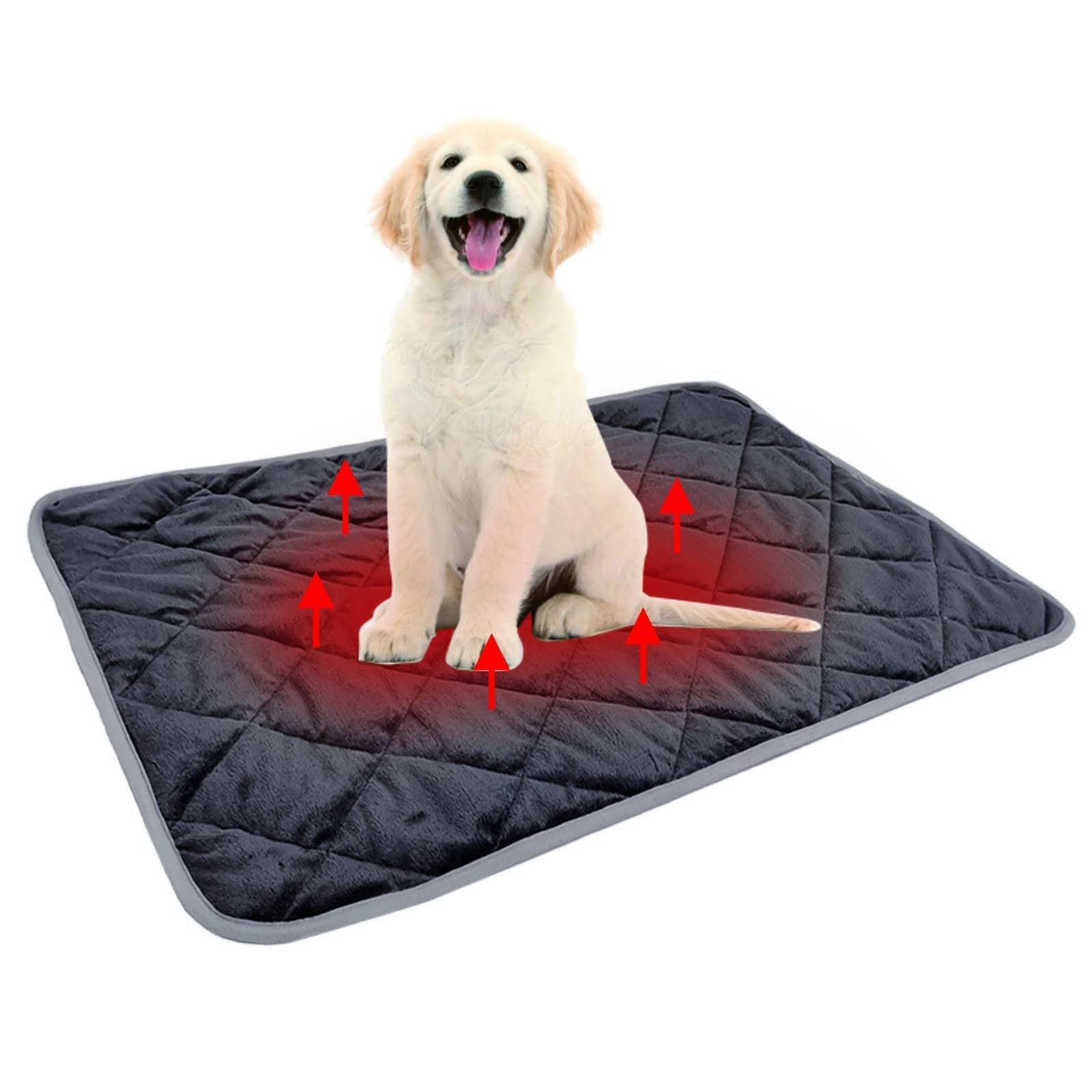 Tapis chauffant pour chat et chien souffrant du froid ou de douleurs articulaires