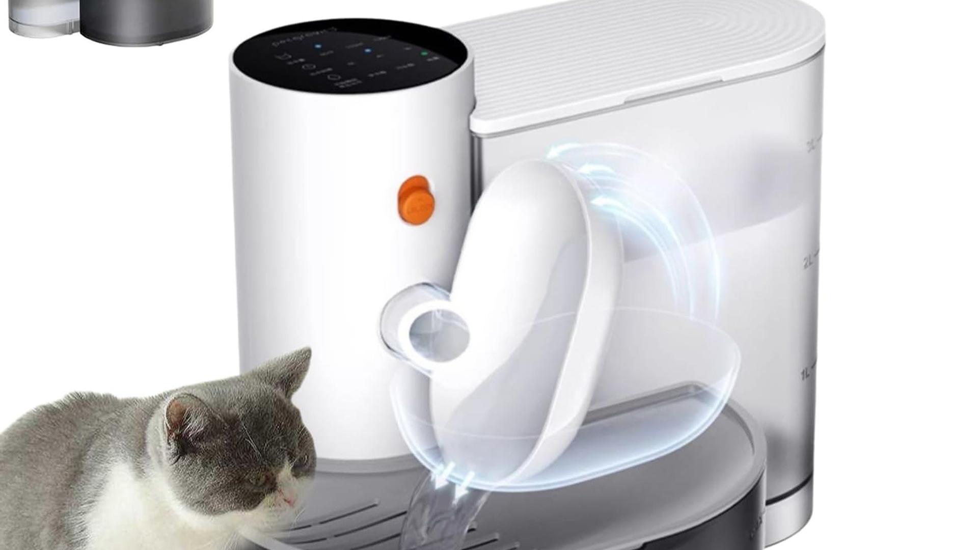 犬と猫のエマージェンシー対応 Amazon.co.jp: 犬と猫のエマージェンシー対応 すぐに検索！臨床