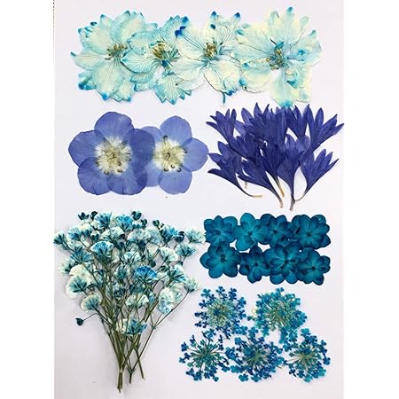 Amazon Co Jp マケプレお急ぎ便対応 押し花セット ブルーｍｉｘ 押し花 ドライフラワー ホーム キッチン