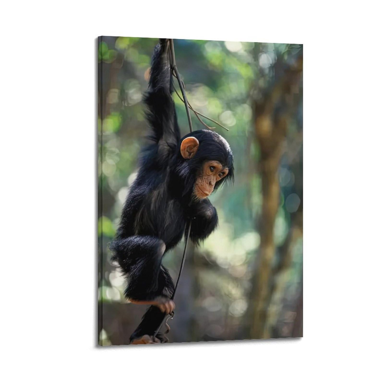 OKNGB Póster de animales de chimpancés jóvenes, cuadro decorativo en lienzo (40 x 60 cm)