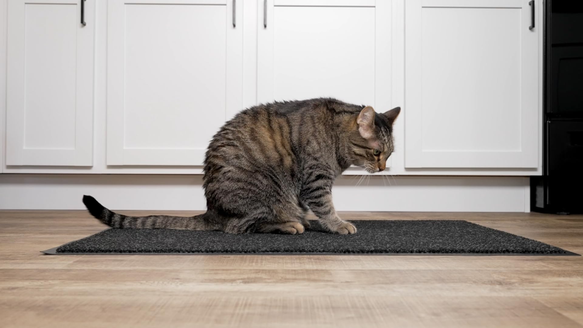 Notrax Polynib Entrance Matting 3 Ft x 5 Ft Charcoal, 136 — Amazon image 2