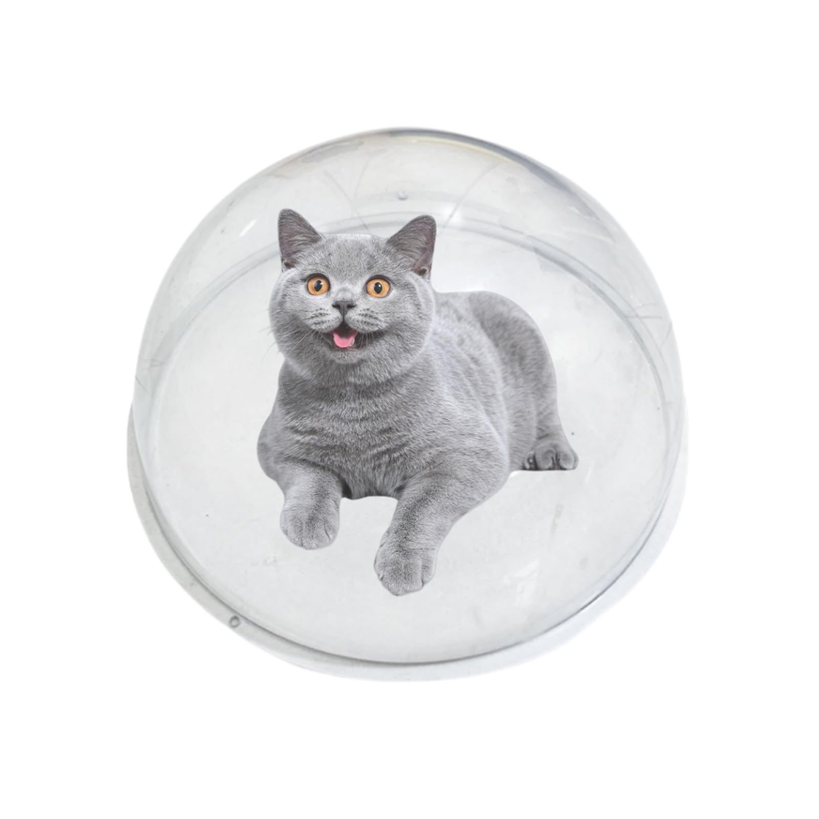 Amazon | 宇宙船 猫 ハンモック猫 キャットタワー宇宙船 透明