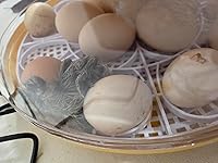 Review Image by Bncaj13 Bncaj13