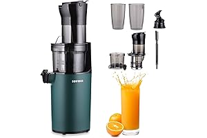 Nama Juicer J2 Cold Press Juicer, Compact and Convenient for Healthy Juicing
