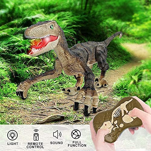 Bompow 2Pcs Dinosuar Toys Remote Control Dino Toys For Kids #TOP1