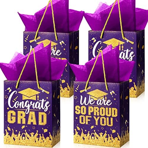 TaoBary 12 Pcs Graduation Gift Bags with Tissue Paper