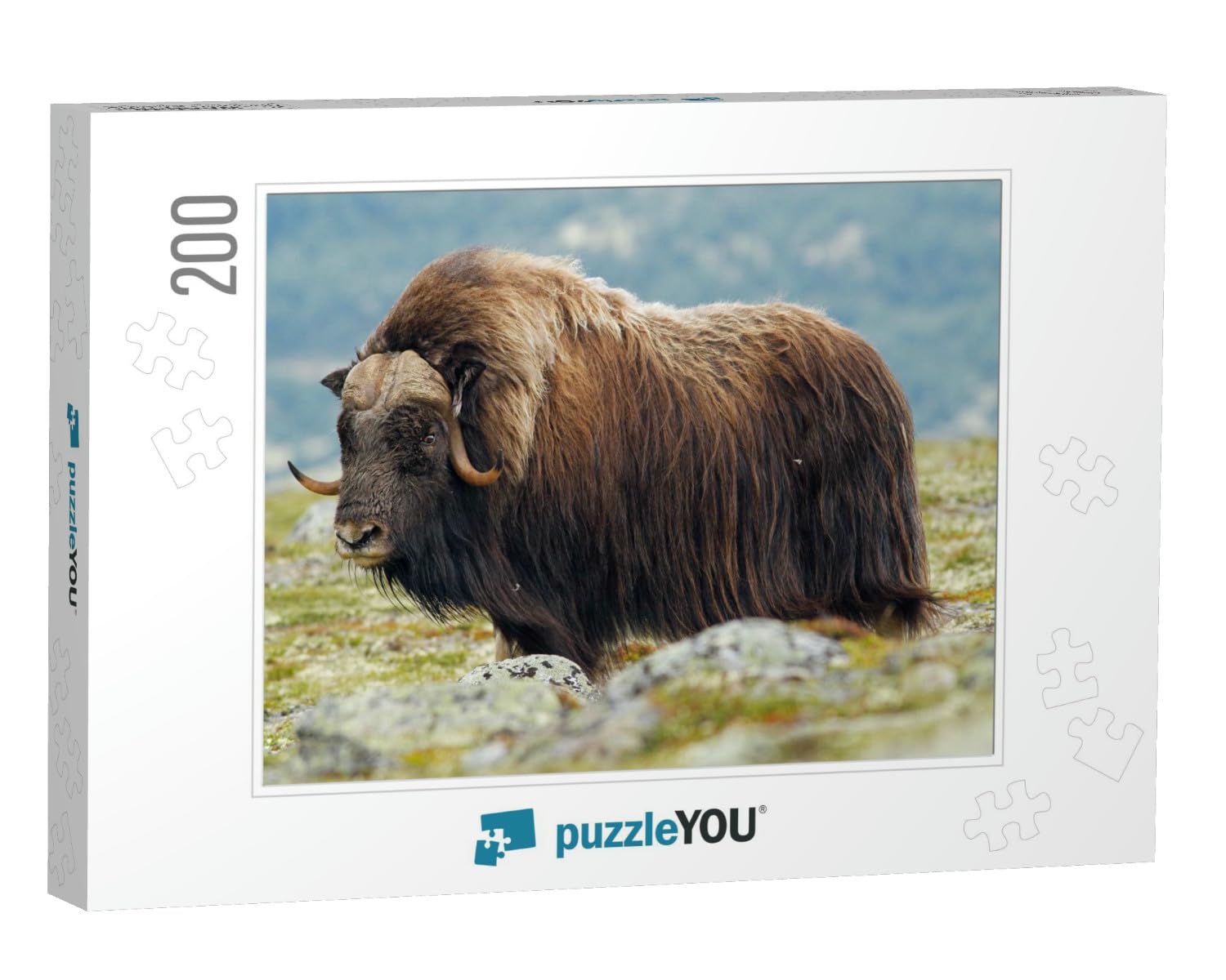 Ovibos Moschatus... Jigsaw Puzzle Jigsaw Puzzle with 200 pieces