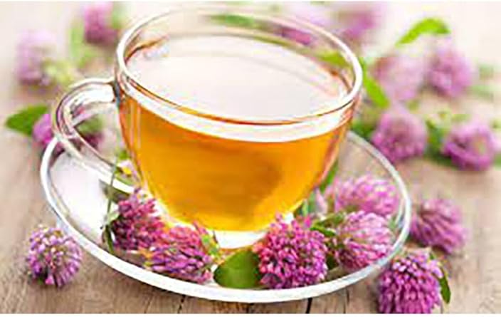 Bazaar 4 Kırmızı Yonca Kızıl Yonca Red Clover 35 Gr
