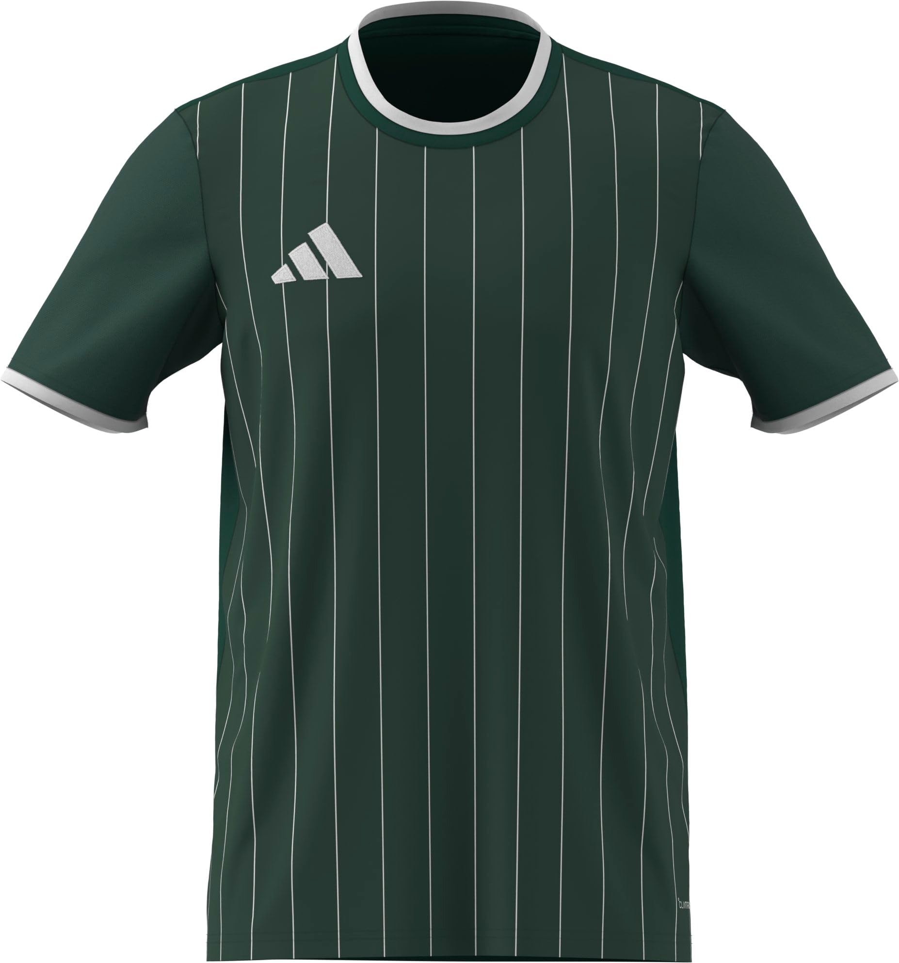 adidas Men's Entrada26 Graphic Jersey Shirt, Team Dark Green/White, M