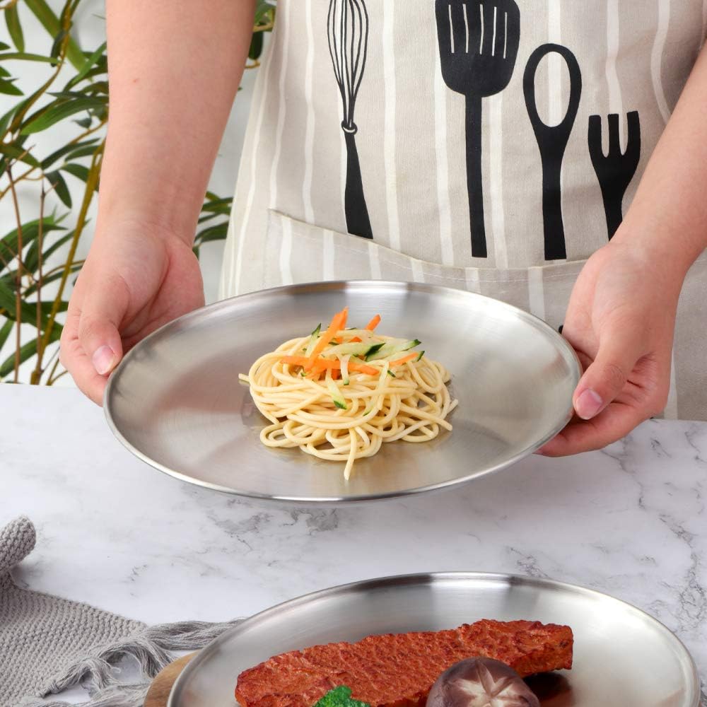 4-Piece Stainless Steel Dinner Plates, 9.1 Inch Colorful Metal Platter for Camping, Dishwasher Safe and Not Easy To Scratch (Silver)