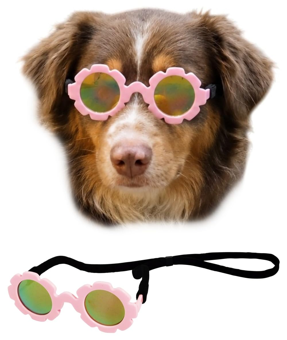 Lunettes de soleil pour chiens : évitez les reflets nocifs chez les chiens de 9-18 kg