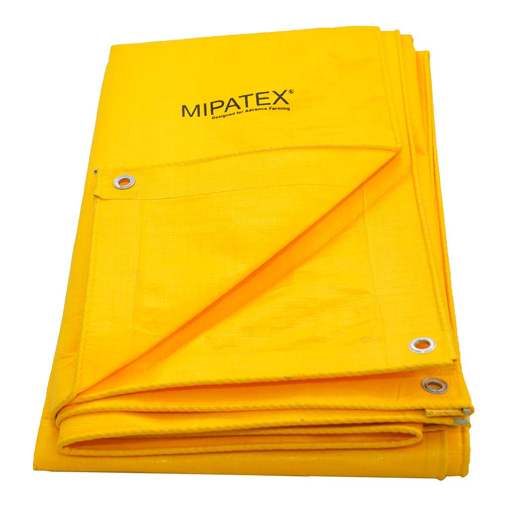 Mipatex Tarpaulin Sheet Waterproof Heavy Duty 12ft x 12ft 130 GSM with Rope 5m. (B083ZZ3CHQ) Amazon Price History, Amazon Price Tracker
