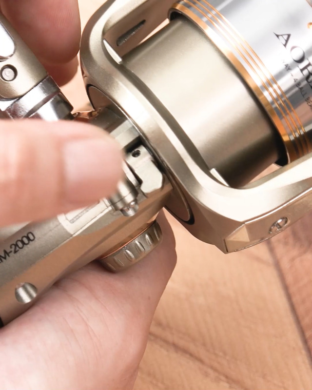 Amazon | プロマリン(PRO MARINE) アオリマスター 2号-200M 糸付
