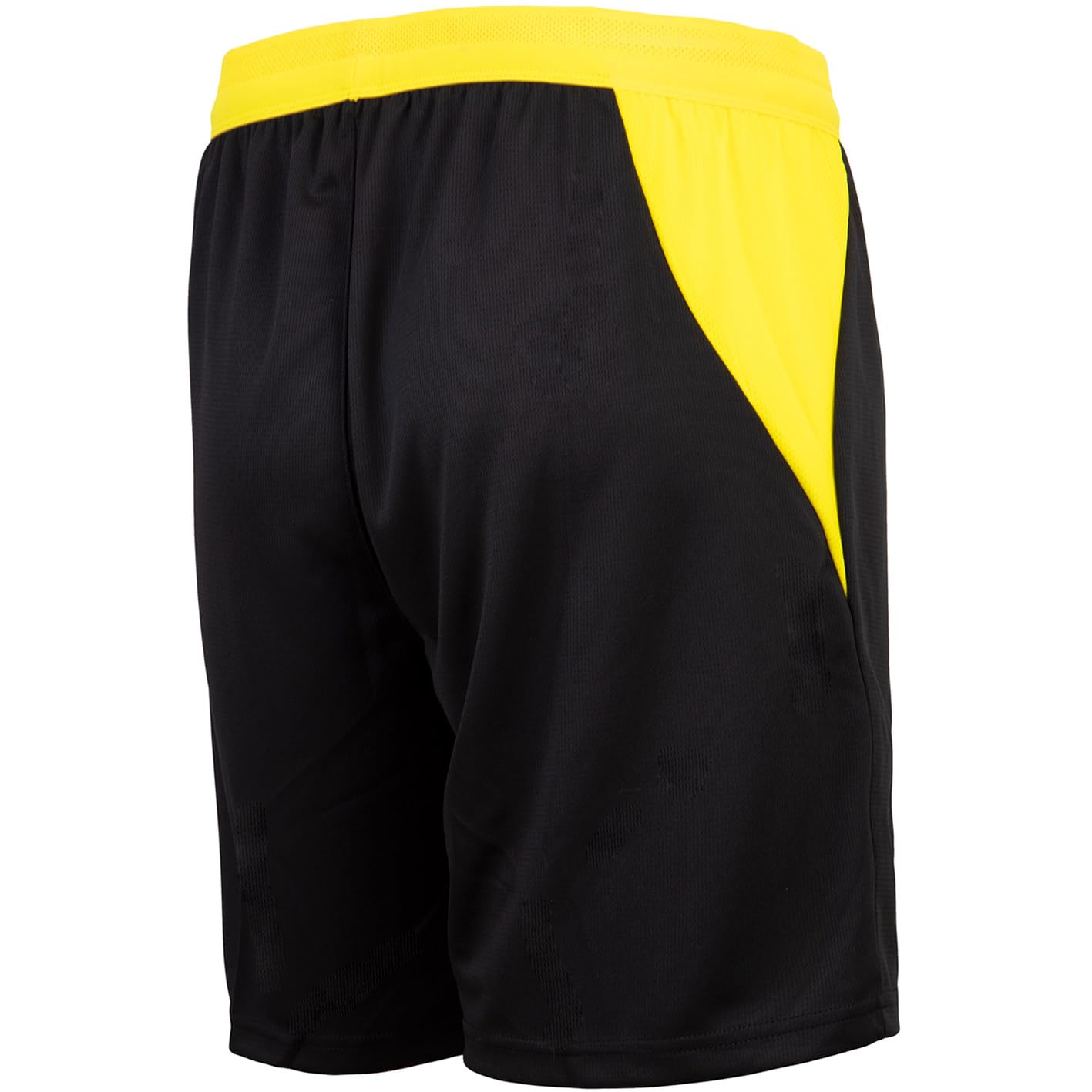 PUMA Borussia Dortmund BVB Shorts