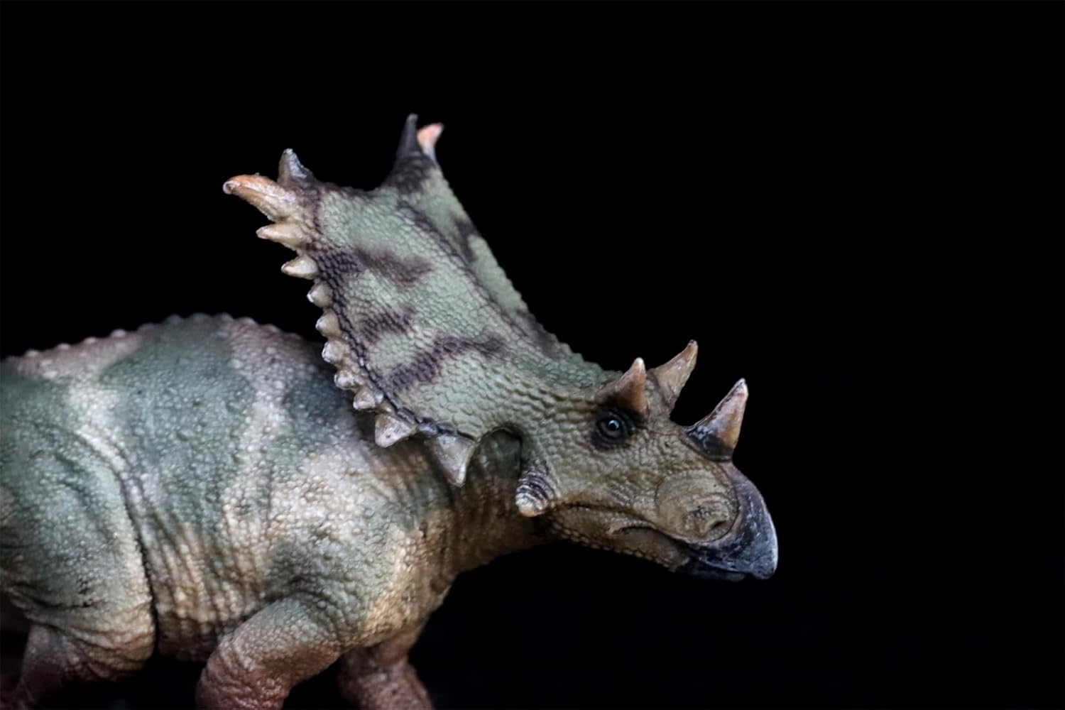 1:35 Scale Chasmosaurus Model Ceratopsidae PVC Animal Figure Dinosaur Collection Realistic Decoration Gift for Adult (Green)