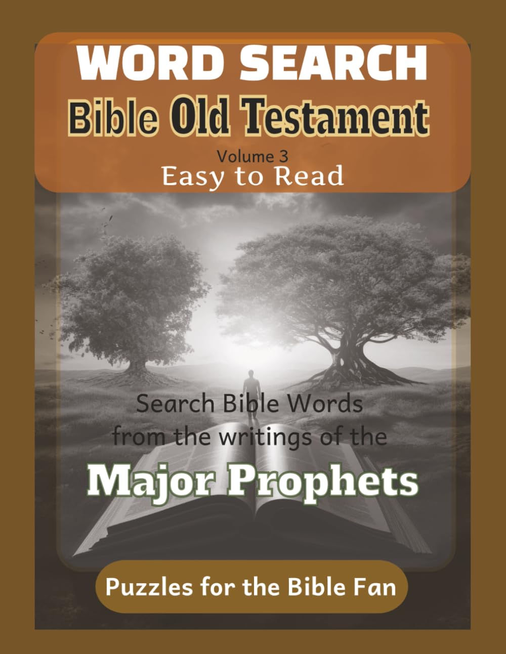 Bible Old Testament Word Search - Volume 3: Major Prophets