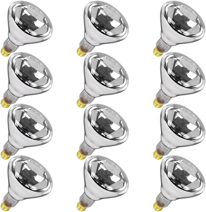 Replacement for Feit 250R40/1 120 Volt, BR40 Dependable Specialty Heat Lamp Light Bulb (12 Pack)