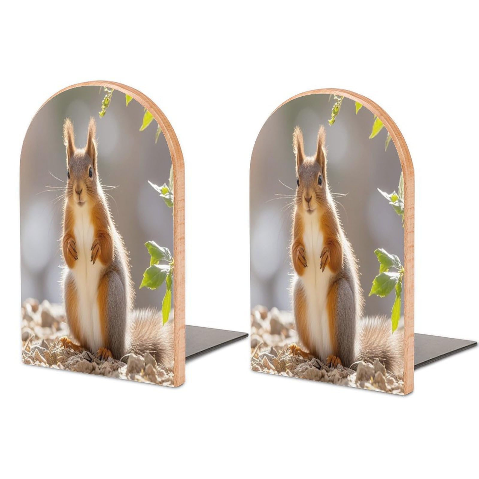 Squirrel Funny Animal Book Ends Wood Non-Skid Bookend for Shelves Heavy Duty Bookends with Metal Base Decorative Books Stopper Desk Organizers Book Dividers for Office Home 1 Pair