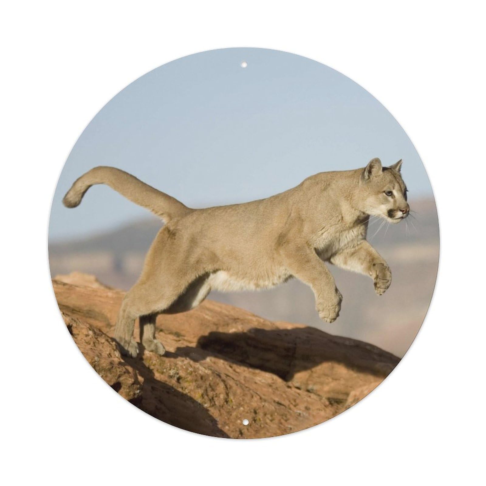 Cougar Mountain Lion Big Cat Wildlife Vintage Retro Metal Tin Sign
