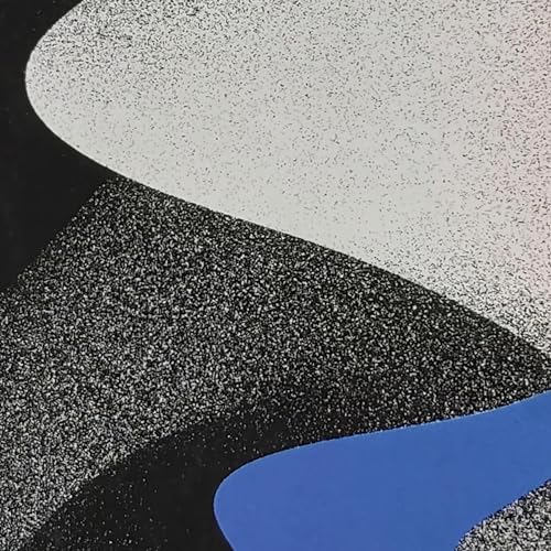 #9 Abel-Antoine Vial &ndash; Start again !