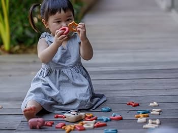 Amazon.com: PlanToys Upper Case Alphabet (5406) : Health & Household