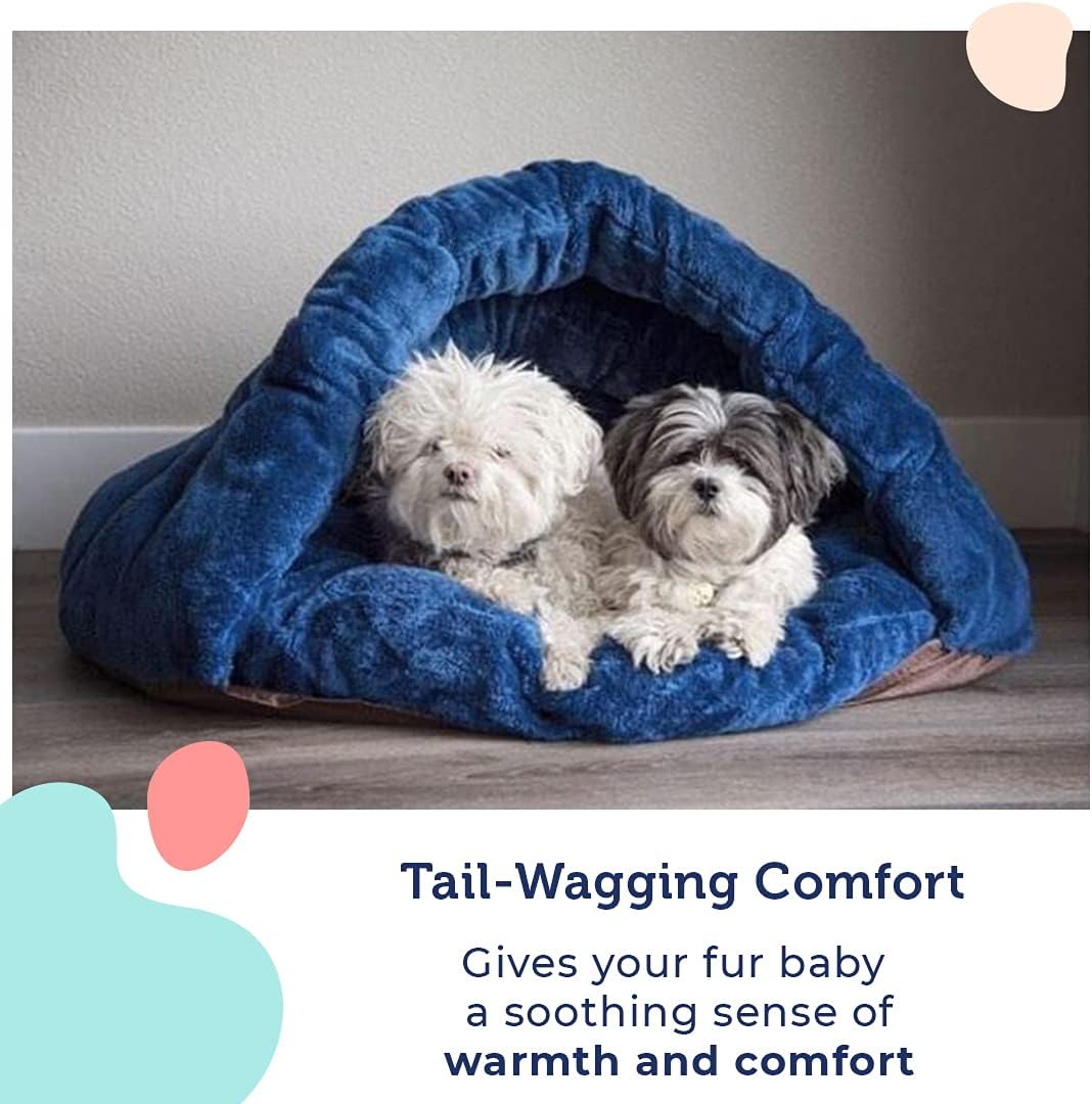 dog pouch bed