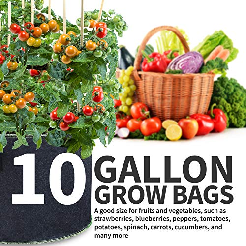 Garnen 10 Gallon Garden Grow Bags (5 Packs), Vegetable/Flower/Plant Growing Bags, Nonwoven Fabric Pots Planter For Outdoor And Indoor Planting #TOP4