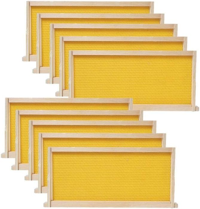 Medium Beehive Frames and Wax Foundations,10 Pack Honey Bee Frames with Wooden Bee Hive Frames and Beeswax Coated Foundations, 6-1/4-Inch (Yellow)