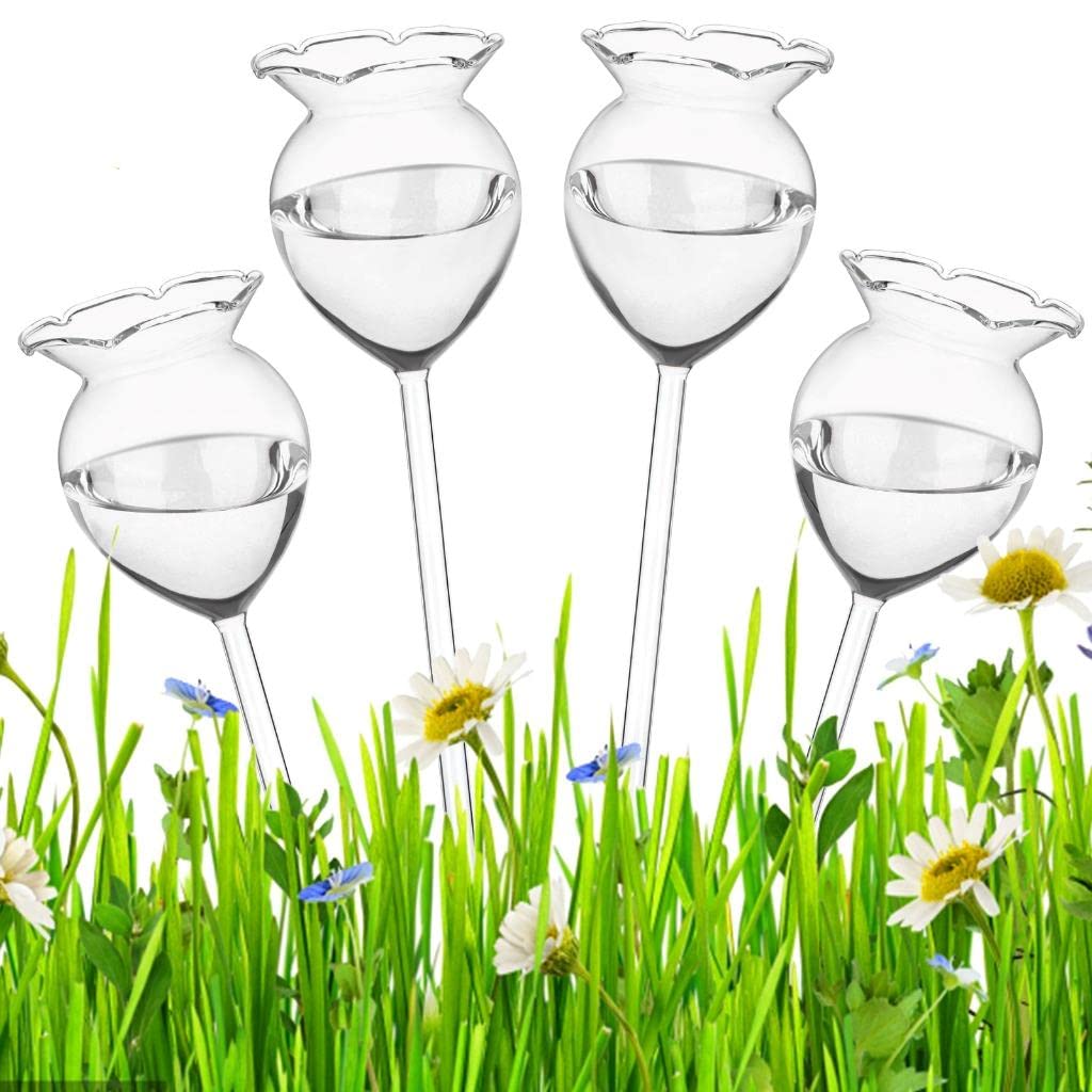 Globi Per Irrigazione Automatica In Vetro Soffiato XL – Set Da 3 Con Inserti In Metallo, Per Piante Da Interno, Regalo Per Giardinieri