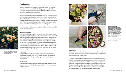 The Cut Flower Sourcebook: Exceptional perennials and woody plants for cutting - Image 6