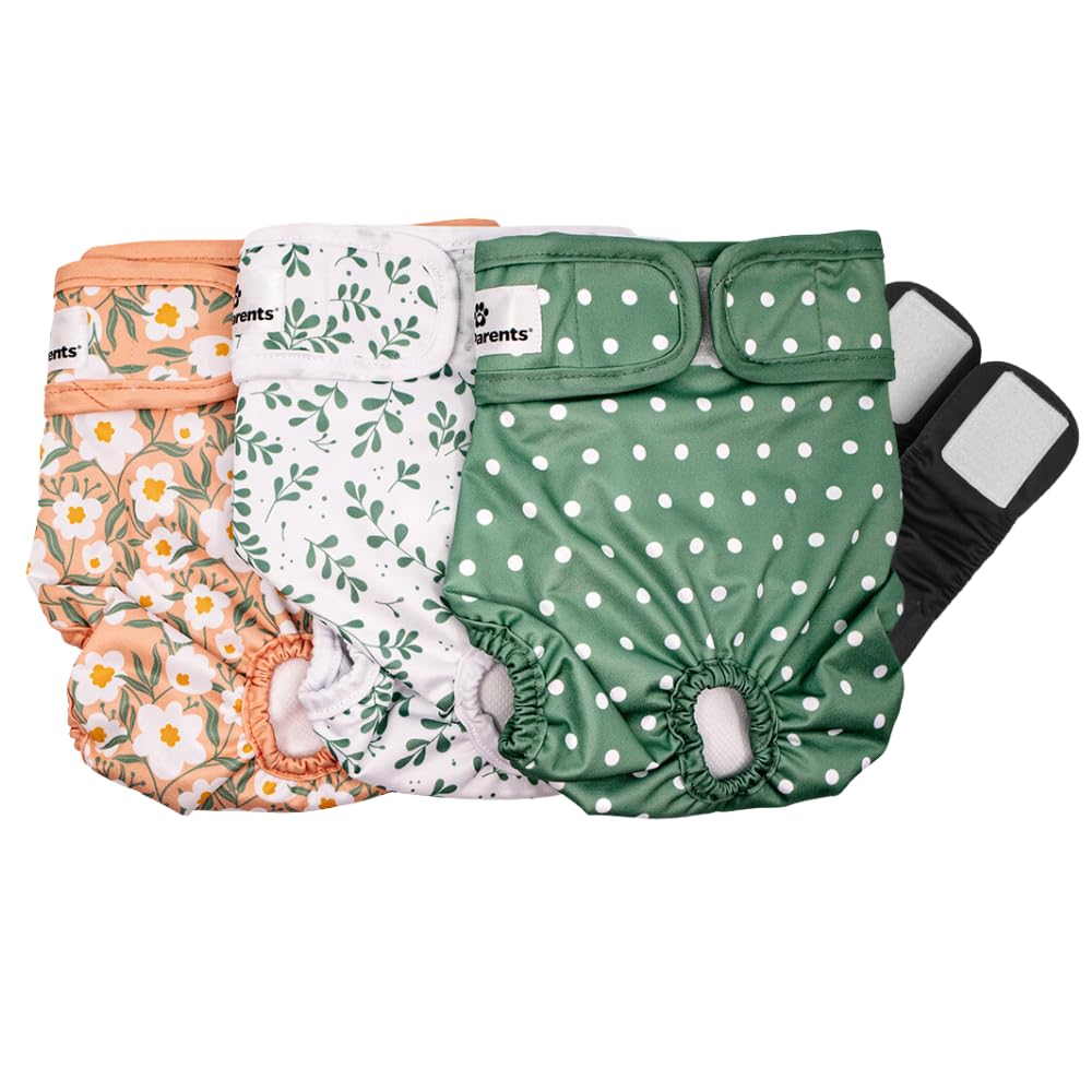Pet ParentsWashable Dog Diapers (3pack) + Extendrs® of Durable Doggie Diapers, Premium Dog Diapers Female (Large, Daisy)
