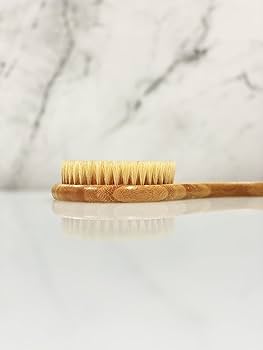 ⭐️ AIZELAISU 真空乾燥器 真空乾燥オーブン 定温 実験室乾燥加熱