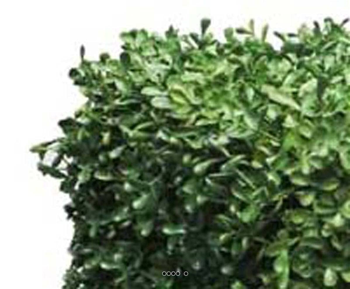 Siepe di bosso fittizio foglio di plastica protettivo UV 100 x 3 x 50 cm Verde-BEST - dimhaut: H 50 cm - colore: Verde