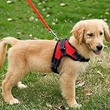 FUNKEEN PET HOUSE No-Pull Padded Adjustable Puppy Dog Training Walking Soft Harness Vest (M, Red) - Image 7
