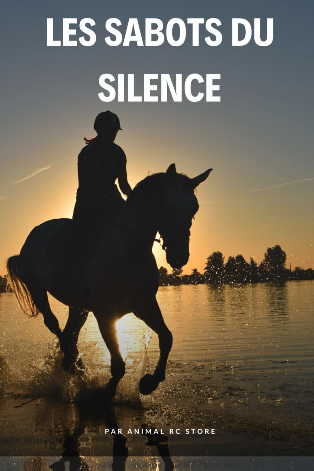 Les Sabots du Silence: Quand un cheval hypersensible apprend à faire confiance sans mots.