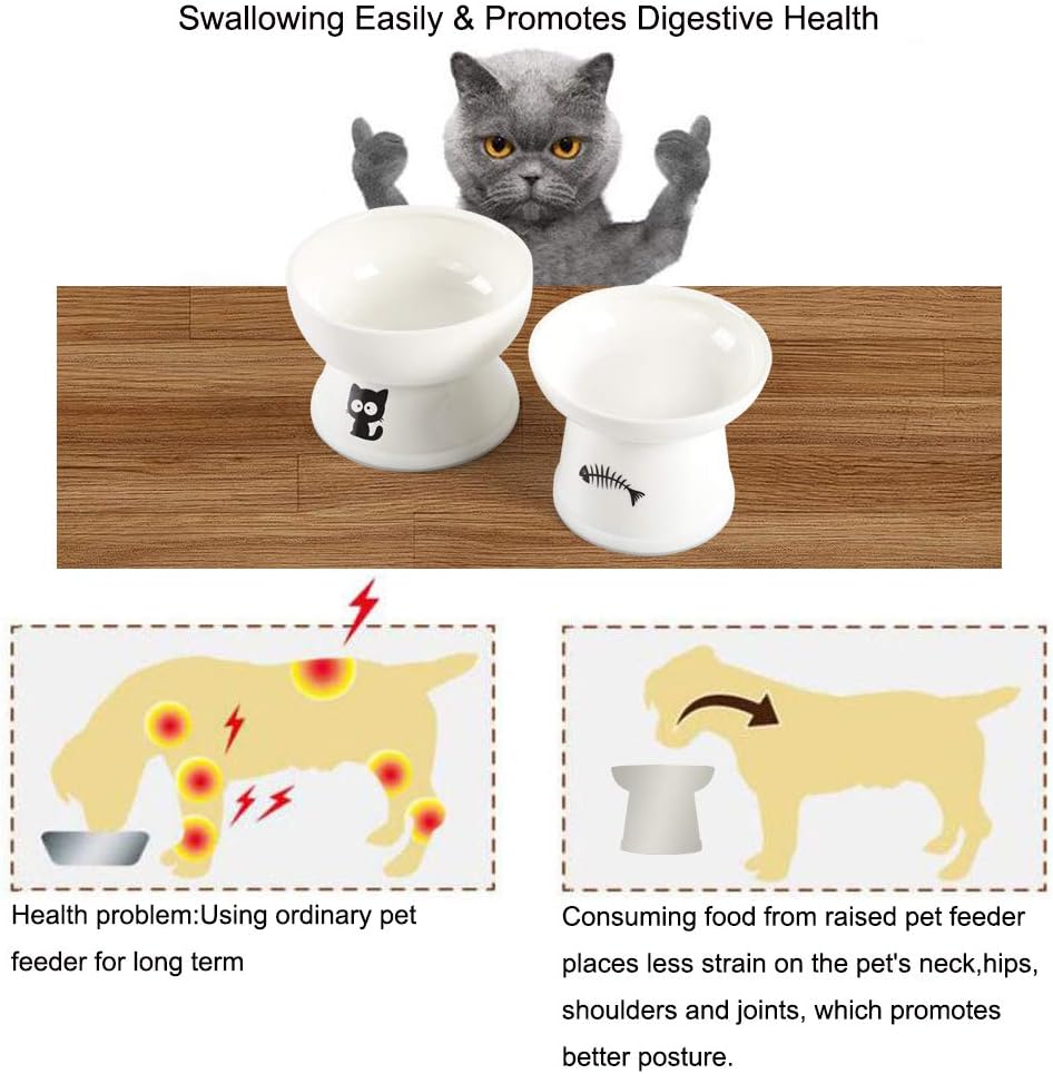 FOREYY Raised Cat Food and Water Bowl Set, Elevated Ceramic Cat Feeder Bowls with Anti Slip Band, Porcelain Pet Dish with Stand, Stress Free, Backflow Prevention, Dishwasher and Microwave Safe (White)